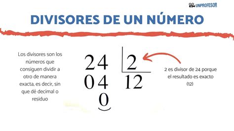 os divisores de 6